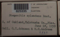 Image Associated With the Occurence